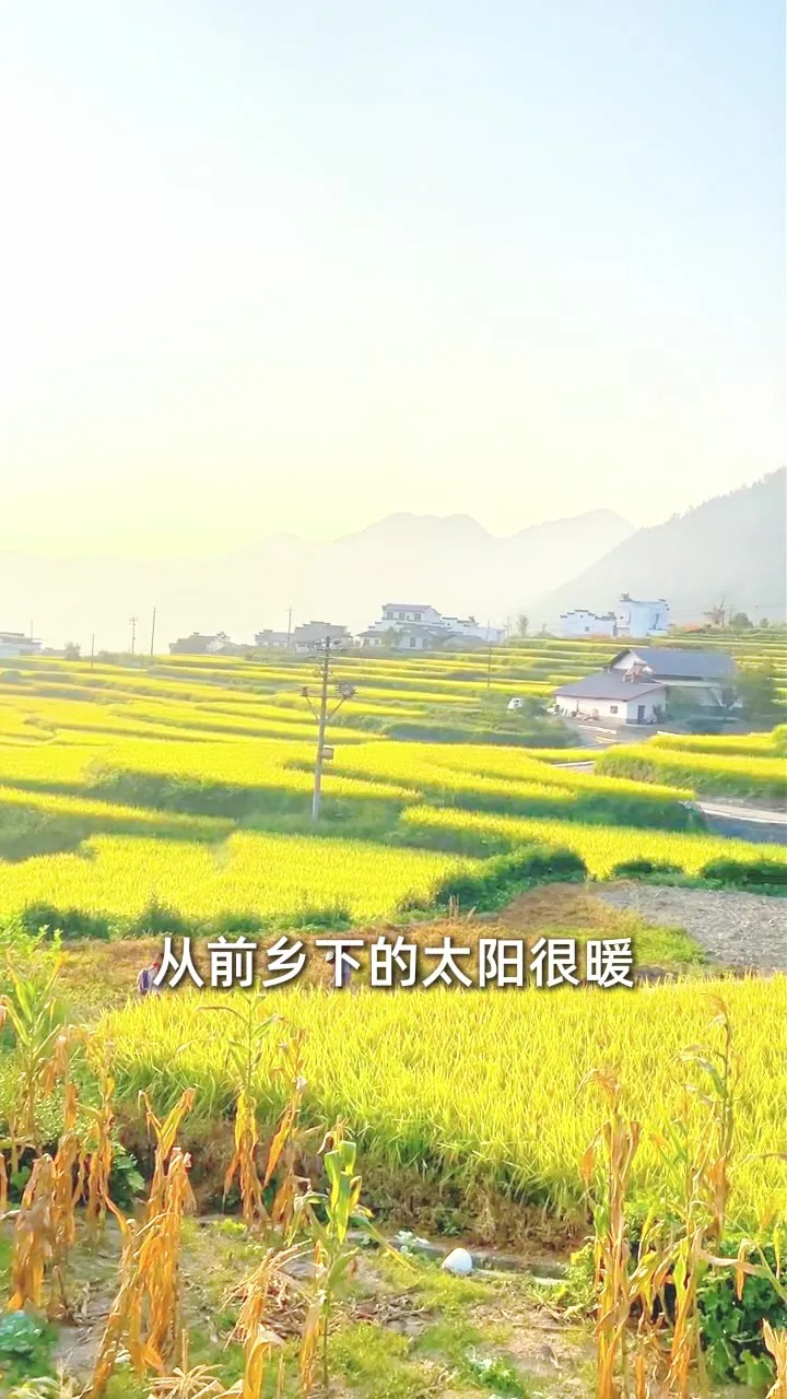 怀旧